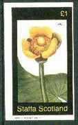 Staffa 1982 Lily imperf,souvenir sheet (£1 value) unmounted mint