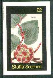 Staffa 1982 Protea imperf,deluxe sheet (£2 value) unmounted mint