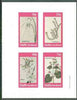 Staffa 1982 Flowers #29 (Morea, Oxybaphus, etc) imperf set of 4 values unmounted mint