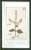 Staffa 1982 Flowers #30 (Circaea) imperf souvenir sheet (£1 value) unmounted mint