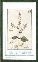 Staffa 1982 Flowers #30 (Circaea) imperf souvenir sheet (£1 value) unmounted mint