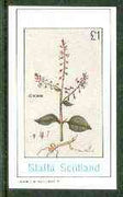 Staffa 1982 Flowers #30 (Circaea) imperf souvenir sheet (£1 value) unmounted mint