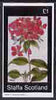 Staffa 1982 Flowers #31 (Phlox) imperf souvenir sheet (£1 value) unmounted mint