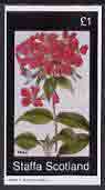Staffa 1982 Flowers #31 (Phlox) imperf souvenir sheet (£1 value) unmounted mint