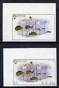 St Kilda 1969 Flowers 1s6d (Bog Violet) imperf single with grey omitted (St Kilda, imprint & value) plus imperf normal unmounted mint