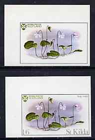St Kilda 1969 Flowers 1s6d (Bog Violet) imperf single with grey omitted (St Kilda, imprint & value) plus imperf normal unmounted mint
