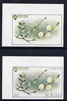 St Kilda 1969 Flowers 5d (Creeping Willow) imperf single with grey omitted (St Kilda, imprint & value) plus imperf normal unmounted mint