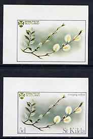 St Kilda 1969 Flowers 5d (Creeping Willow) imperf single with grey omitted (St Kilda, imprint & value) plus imperf normal unmounted mint