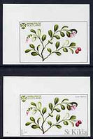 St Kilda 1969 Flowers 1s (Cow Berry) imperf single with grey omitted (St Kilda, imprint & value) plus imperf normal unmounted mint