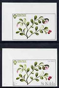 St Kilda 1969 Flowers 1s (Cow Berry) imperf single with grey omitted (St Kilda, imprint & value) plus imperf normal unmounted mint