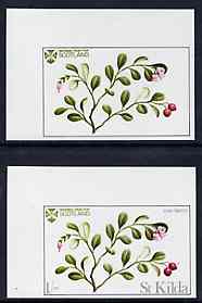 St Kilda 1969 Flowers 1s (Cow Berry) imperf single with grey omitted (St Kilda, imprint & value) plus imperf normal unmounted mint