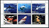 Buriatia Republic 1999 Marine Life (Dolphins, Sharks, etc) sheetlet containing complete set of 6 values unmounted mint
