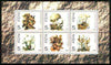 Abkhazia 1998 Mushrooms sheetlet containing complete set of 6 values unmounted mint