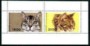 Abkhazia 1996 Cats sheetlet containing complete set of 2 values unmounted mint