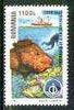 Rumania 1998 Sea Life unmounted mint (1 value with scuba diver)