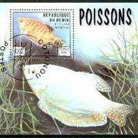 Benin 1999 Fish m/sheet fine cto used