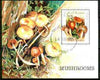 Somalia 1998 Fungi perf m/sheet fine cto used