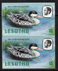 Lesotho 1982 Red Billed Teal 10s def in unmounted mint imperf pair* (SG 506)