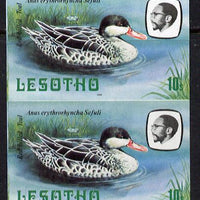 Lesotho 1982 Red Billed Teal 10s def in unmounted mint imperf pair* (SG 506)