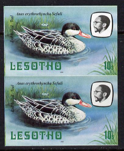 Lesotho 1982 Red Billed Teal 10s def in unmounted mint imperf pair* (SG 506)