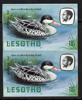 Lesotho 1982 Red Billed Teal 10s def in unmounted mint imperf pair* (SG 506)