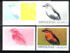 Angola 1999 Birds 300,000k from Flora & Fauna def set, the set of 5 imperf progressive colour proofs comprising the four individual colours plus completed design (all 4-colour composite) 5 proofs unmounted mint