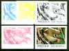 Angola 1999 Birds 50,000k from Flora & Fauna def set, the set of 5 imperf progressive colour proofs comprising the four individual colours plus completed design (all 4-colour composite) 5 proofs unmounted mint