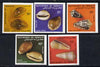 Djibouti 1985 Shells SG 959-63 imperf set of 5 from limited printing unmounted mint