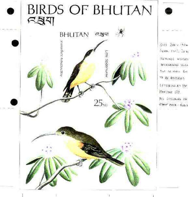 Bhutan 1989 Birds Intermediate stage computer-generated artwork for 25nu (Spiderhunter) m/sheet twice full size in issued colours without background colour, probably unique (Sc 796)