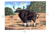 Bhutan 1990 Endangered Wildlife - Intermediate stage computer-generated artwork (as submitted for approval) for 25nu m/sheet (Gaur) 200 x 140 mm as issued design but lettering different, ex Government archives and probably unique