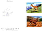 Bhutan 1990 Endangered Wildlife - 25nu (Wild Dog) & 25nu (Musk Deer) imperf m/sheets mounted in Folder entitled 'Your Proofs from the House of Questa', signed and approved by Director PTT, exceptionally rare ex Government archives,(Sc 932 & 935)