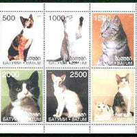 Batum 1998 Domestic Cats sheetlet containing complete set of 6 values unmounted mint