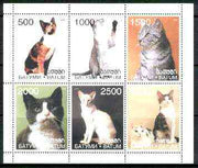 Batum 1998 Domestic Cats sheetlet containing complete set of 6 values unmounted mint