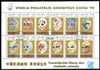 Afghanistan 1999 Masks sheetlet containing complete set of 12 values (with China 99 in margins) fine cto used
