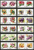 Niue 1981 Flowers (1st series) set of 24 values (2c to 80c) in se-tenant pairs unmounted mint, SG 381-404