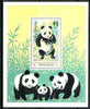Mongolia 1990 The Giant Panda m/sheet unmounted mint, SG MS 2137