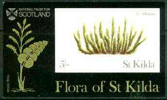 St Kilda 1969 Flowers 5s (Fir Clubmoss) imperf souvenir sheet unmounted mint