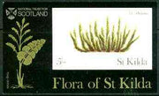 St Kilda 1969 Flowers 5s (Fir Clubmoss) imperf souvenir sheet unmounted mint