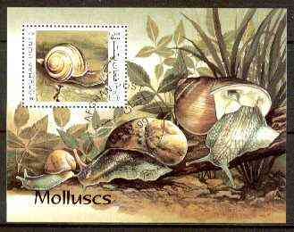Afghanistan 1999 Molluscs m/sheet fine cto used