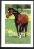 Sakha (Yakutia) Republic 1997 Horses perf m/sheet unmounted mint