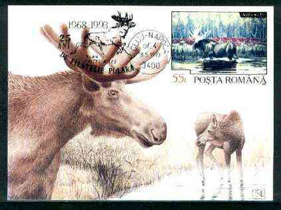 Rumania 1992 Elk 55L (as SG 5484) on maximum card with special illustrated 'Elk' cancellation