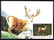 Rumania 1992 White Tailed Deer 30L (as SG 5483) on maximum card with special illustrated 'Deer' cancellation