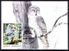 Rumania 1992 Spotted Owl 7L (as SG 5479) on maximum card with special illustrated 'Owl' cancellation