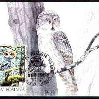 Rumania 1992 Spotted Owl 7L (as SG 5479) on maximum card with special illustrated 'Owl' cancellation