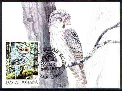 Rumania 1992 Spotted Owl 7L (as SG 5479) on maximum card with special illustrated 'Owl' cancellation