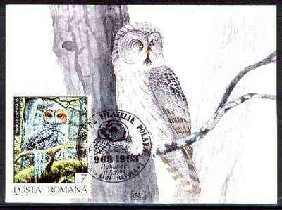 Rumania 1992 Spotted Owl 7L (as SG 5479) on maximum card with special illustrated 'Owl' cancellation