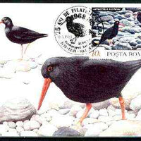 Rumania 1992 Oystercatcher 10L (as SG 5481) on maximum card with special illustrated 'Oystercatcher' cancellation