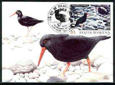 Rumania 1992 Oystercatcher 10L (as SG 5481) on maximum card with special illustrated 'Oystercatcher' cancellation