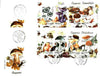 Rumania 1994 Edible and Poisonous Fungi the set of 2 m/sheets, each on illustrated cover with special 'mushroom' first day cancel (as SG MS 5638)