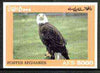 Afghanistan 1999 American Bald Eagle #2 imperf m/sheet unmounted mint